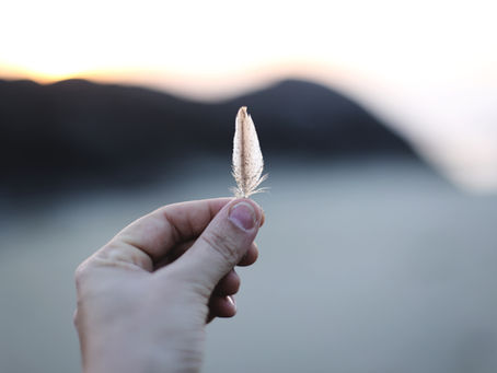 a hand holding a feather in the wind, symbolising guidance, healing and finding your way back