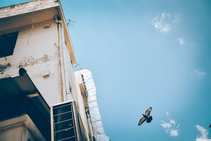 Image by Ginnie Nguyen