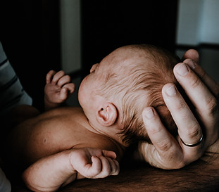 Image by Kelly Sikkema