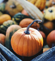 Image by Aaron Burden