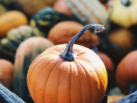 A teenager enjoying the October half-term break