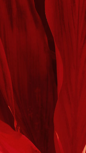 Image by Smit Patel