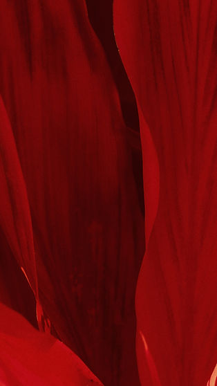 Image by Smit Patel
