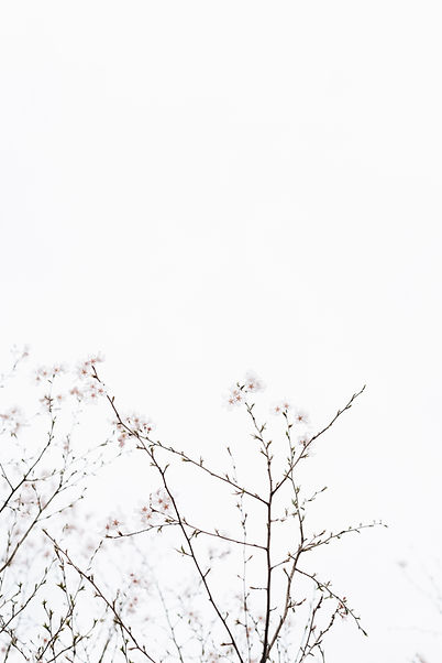 Image by Masaaki Komori