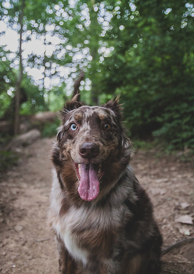 Image by Zeke Tucker