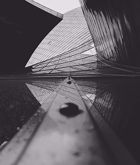 Image by Noah Rosenfield