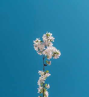 Image by Johannes Mändle