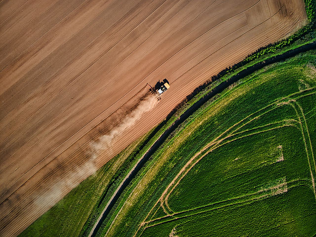 Image by Red Zeppelin