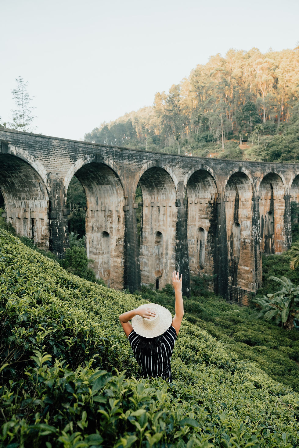 Photo Credit: Lucija Ros

A person in a striped dress and straw hat waves, standing amid lush greenery. An old stone viaduct arches across the background.