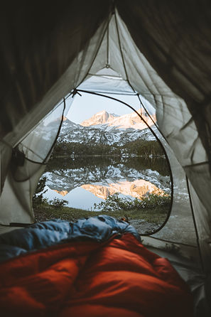 Image by Peter Thomas