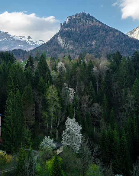 Autriche