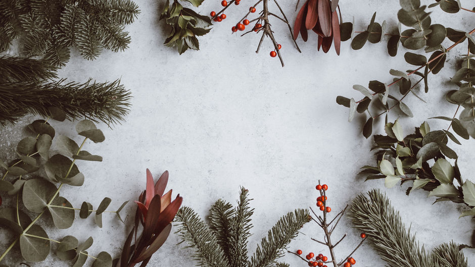 Here's to Christmas.