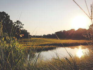 South Carolina is the Top State People Are Moving To in 2026: Here's Why!