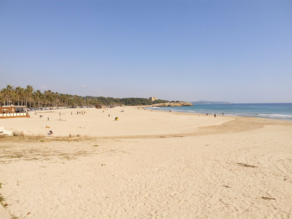 Kos Adası Gezi Rehberi