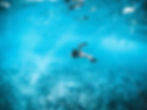 Kudadoo Maldives Private Island Experiences Diving Watersports