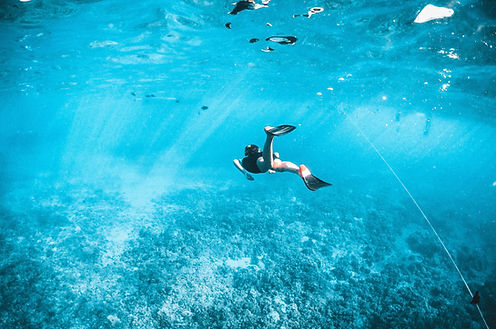 inside view of a sea