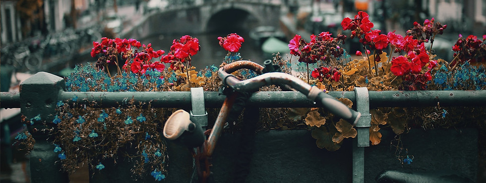 Image by Nick Scheerbart