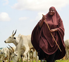 Image by Fatima Yusuf