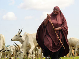 The Role of Institutions for Environmental Security