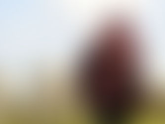 The Role of Institutions for Environmental Security