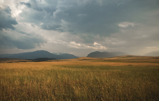 Image by Matthew Smith