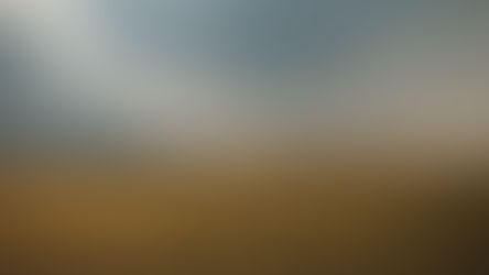 Landowners Have Until March 15 To Apply For PALA And UPL Programs 