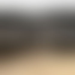 Shadow Maribrengaël 霧と曖昧の世界を前に