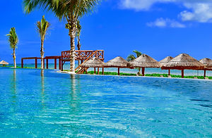 Image by Josh Hammond