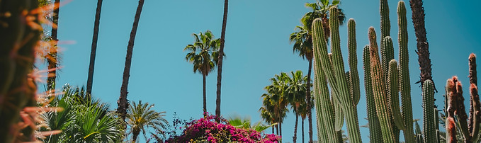 Image de Alex Plesovskich