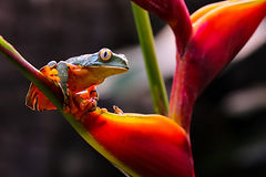 Image by David Traña
