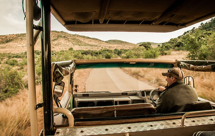 Image by Mateus Maia