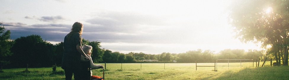 Image by Dominik Lange
