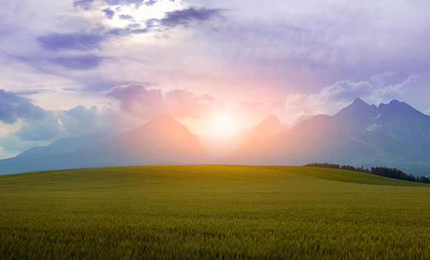 Image by JESHOOTS.COM