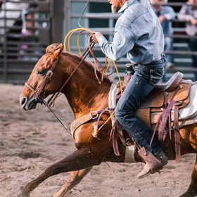 Image by Joshua Sukoff