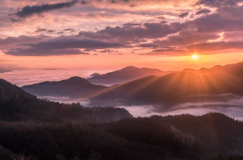 Image by Tadej Skofic