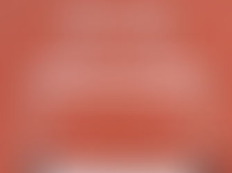 Times up: Black Summer Bushfire Recovery grant money must flow immediately