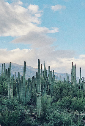 Image by Cash Vickers