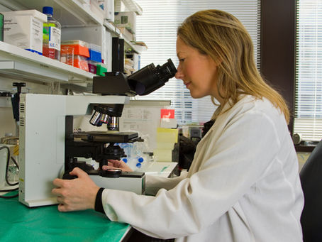 Postdoctoral Scholars