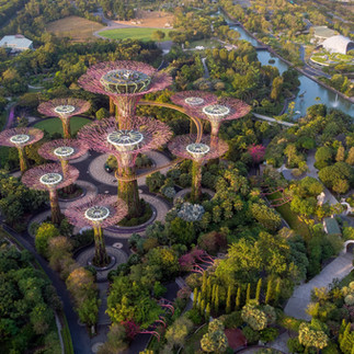 Gardens by the bay aerial