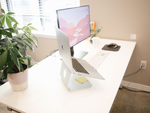 12 companies leading the way in the vegan and plant-based sphere.