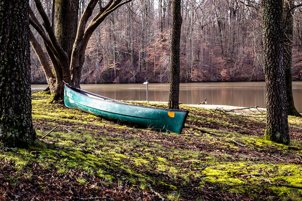 Canoe Trip