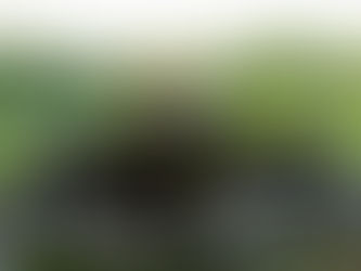 Planning for Unexpected Life Events