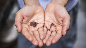 Letting go of those we care about