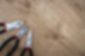 Image by JESHOOTS.COM