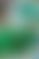 Blood rack with vials of blood on it.