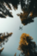 Image by KAL VISUALS