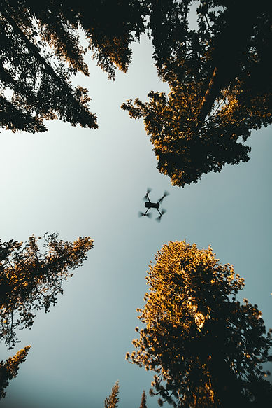Image by KAL VISUALS