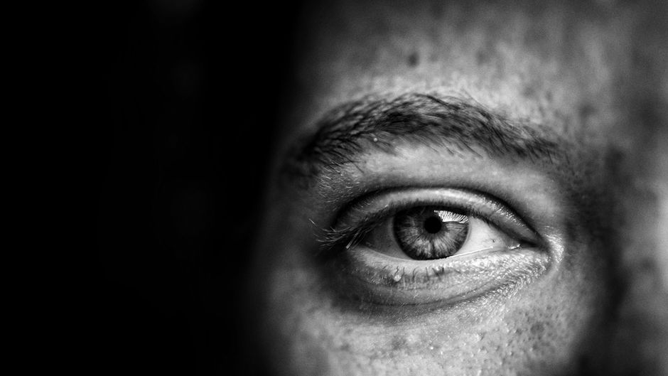 Supply of the Eyes