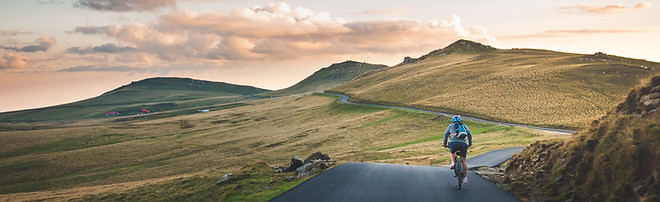 Image by David Marcu