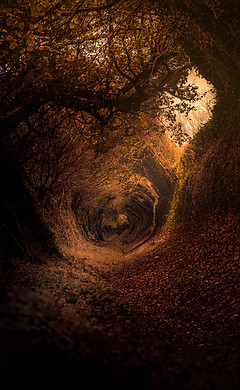 Image by Jez Timms